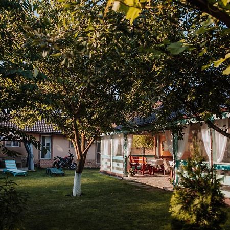 Hotel Casa Badea Murighiol Zewnętrze zdjęcie