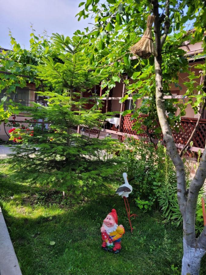Hotel Casa Badea Murighiol Zewnętrze zdjęcie
