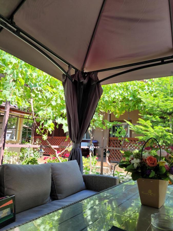 Hotel Casa Badea Murighiol Zewnętrze zdjęcie