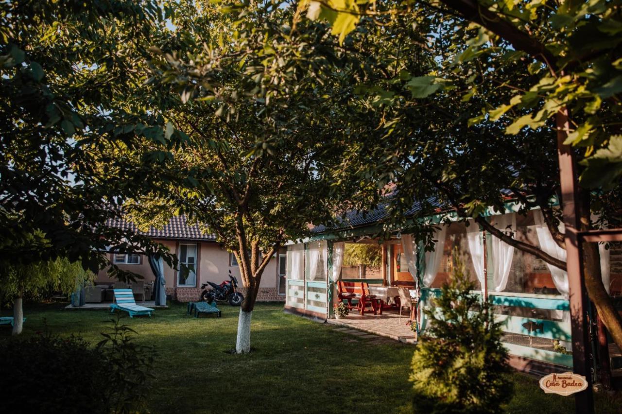 Hotel Casa Badea Murighiol Zewnętrze zdjęcie