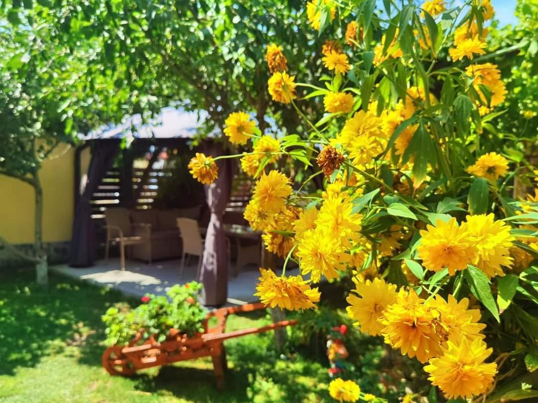 Hotel Casa Badea Murighiol Zewnętrze zdjęcie