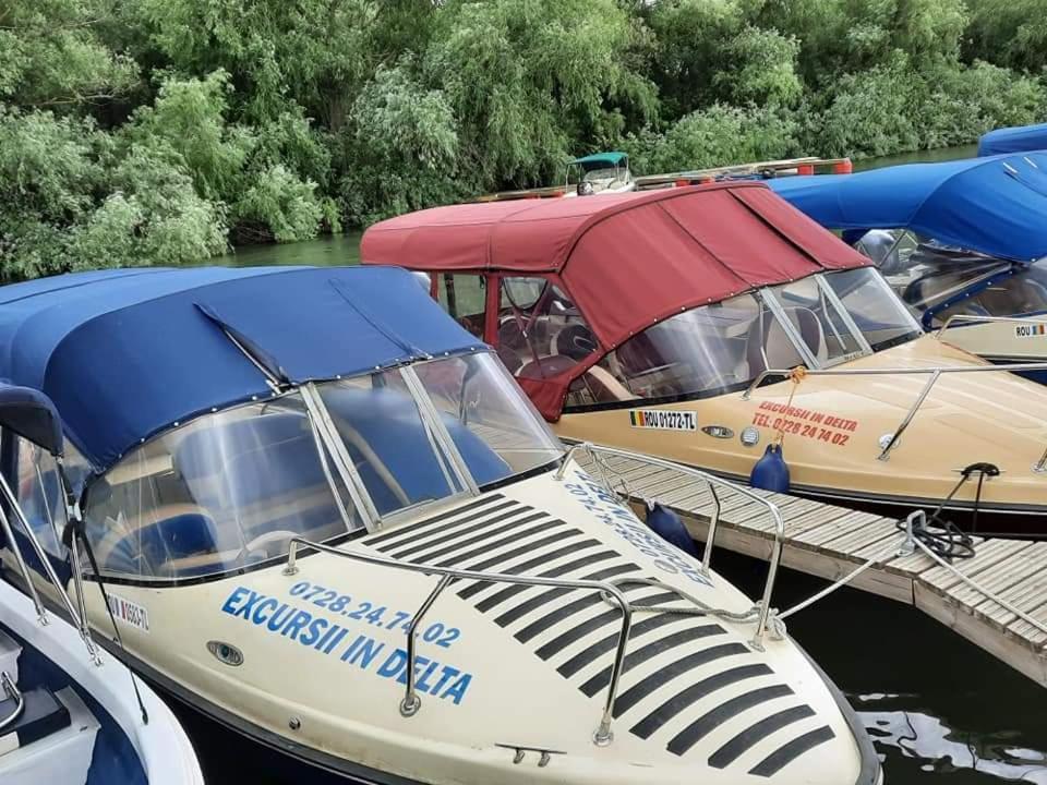 Hotel Casa Badea Murighiol Zewnętrze zdjęcie